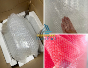 XỐP CHỐNG SỐC BỌC QUÀ TẾT