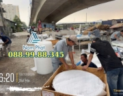 MÚT PE FOAM 5MM LÓT ĐÁ HOA CƯƠNG